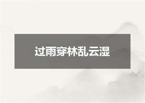 过雨穿林乱云湿