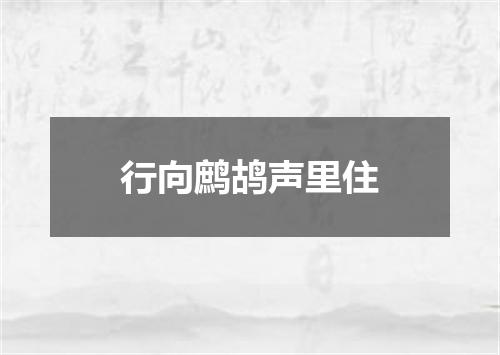 行向鹧鸪声里住