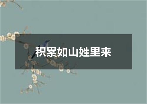 积累如山姓里来