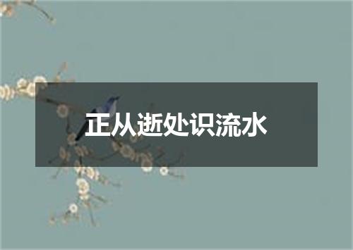 正从逝处识流水