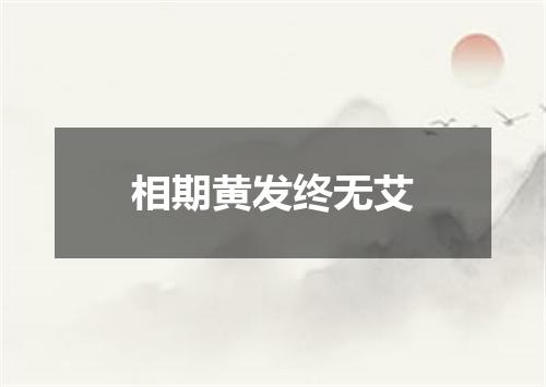 相期黄发终无艾