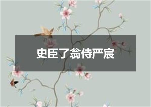 史臣了翁侍严宸