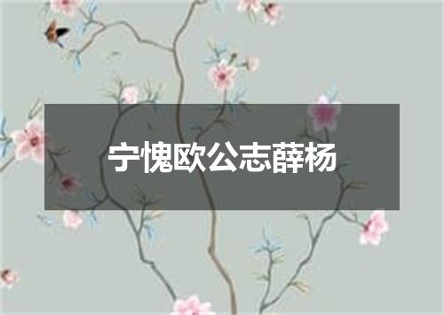 宁愧欧公志薛杨