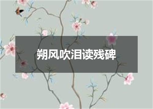 朔风吹泪读残碑