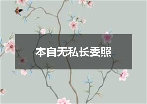 本自无私长委照