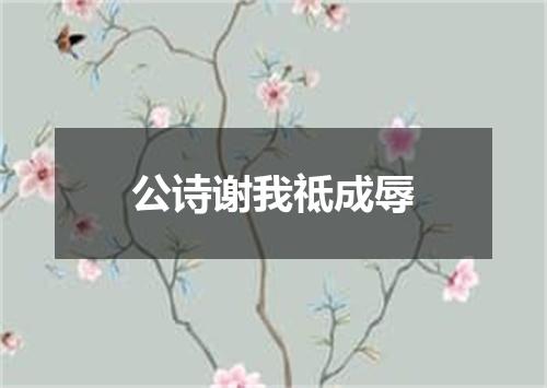 公诗谢我祗成辱