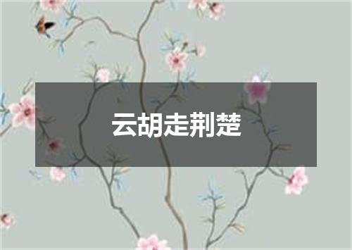 云胡走荆楚