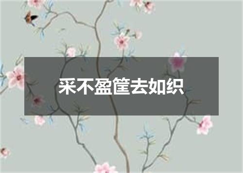 采不盈筐去如织