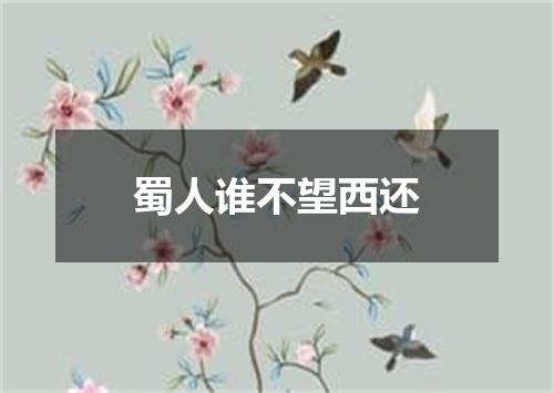 蜀人谁不望西还