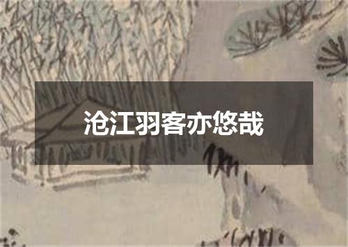 沧江羽客亦悠哉