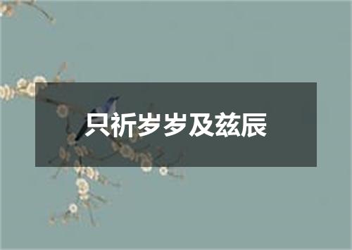 只祈岁岁及兹辰