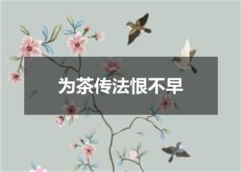 为茶传法恨不早