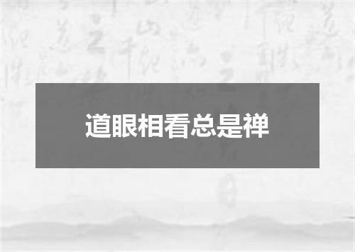 道眼相看总是禅