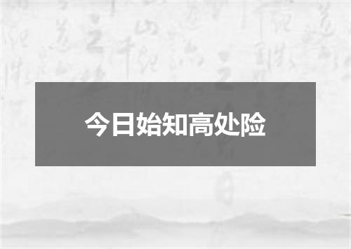 今日始知高处险