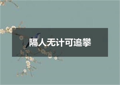 隔人无计可追攀