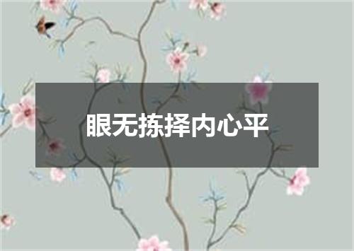 眼无拣择内心平