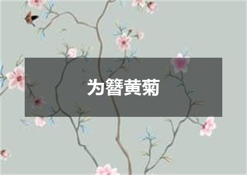 为簪黄菊