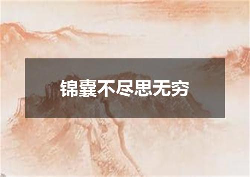 锦囊不尽思无穷