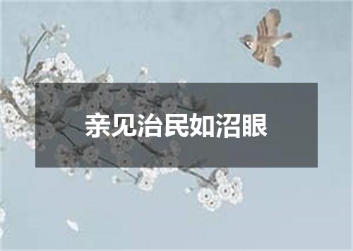 亲见治民如沼眼