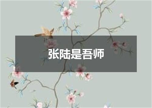 张陆是吾师