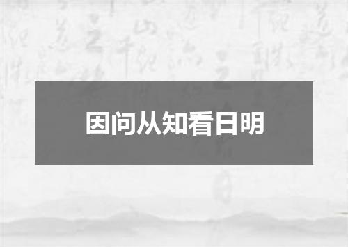 因问从知看日明