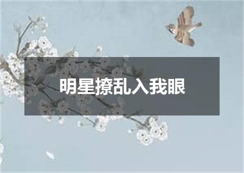 明星撩乱入我眼