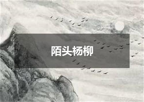 陌头杨柳