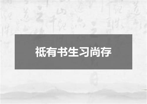 祗有书生习尚存