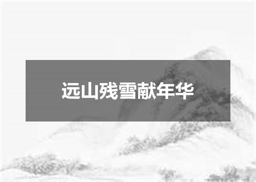 远山残雪献年华