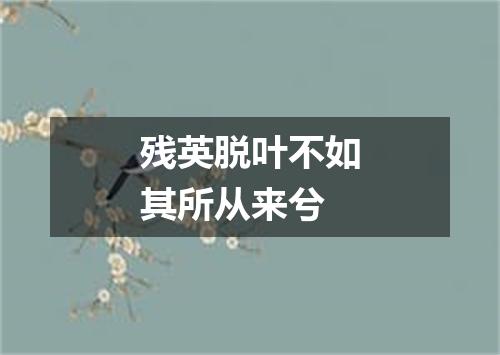 残英脱叶不如其所从来兮