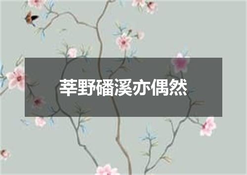 莘野磻溪亦偶然