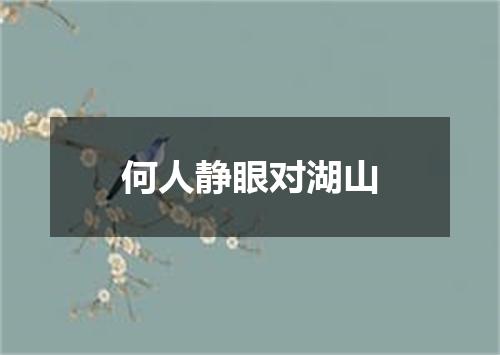 何人静眼对湖山