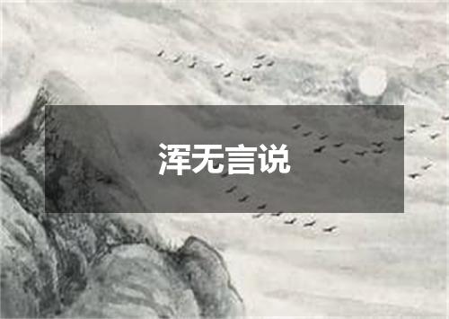 浑无言说