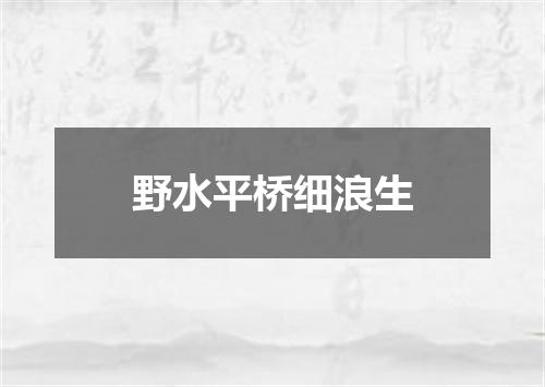 野水平桥细浪生