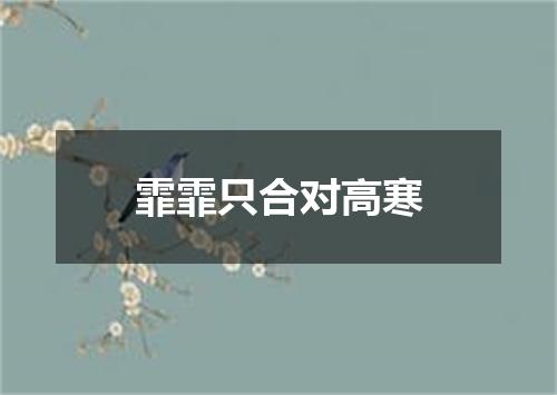 霏霏只合对高寒