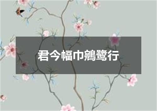 君今幅巾鵷鹭行