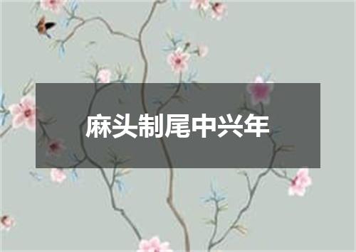 麻头制尾中兴年