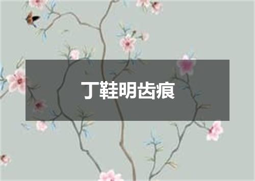 丁鞋明齿痕