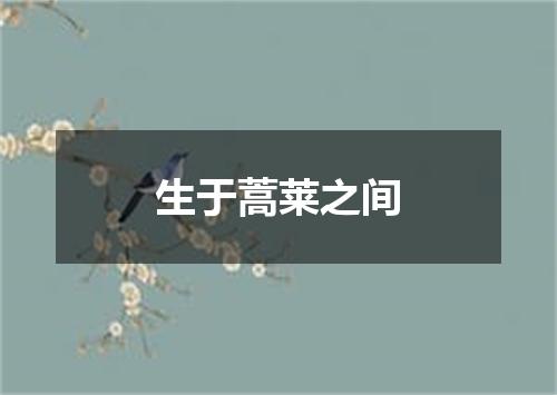 生于蒿莱之间