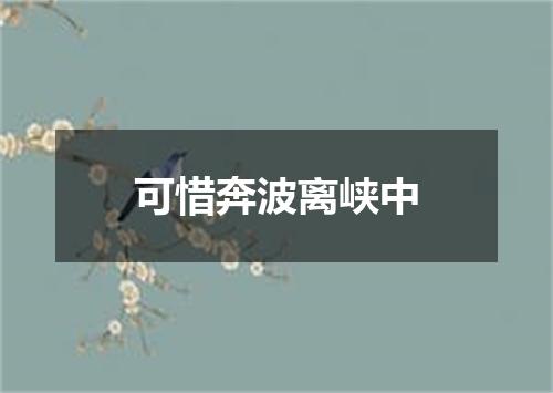 可惜奔波离峡中