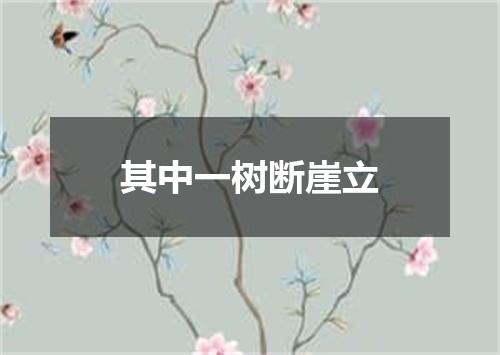 其中一树断崖立