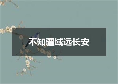 不知疆域远长安