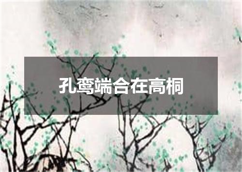 孔鸾端合在高桐