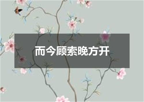 而今顾索晚方开