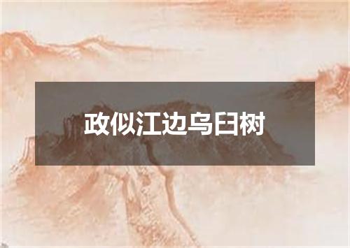 政似江边乌臼树