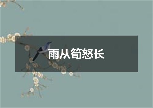 雨从筍怒长