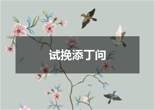 试挽添丁问