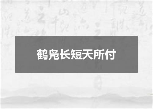 鹤凫长短天所付