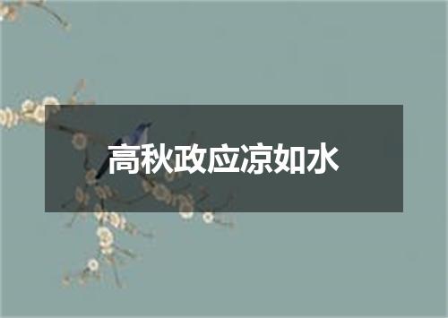 高秋政应凉如水