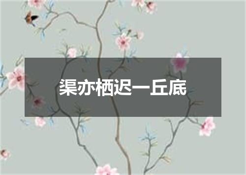 渠亦栖迟一丘底